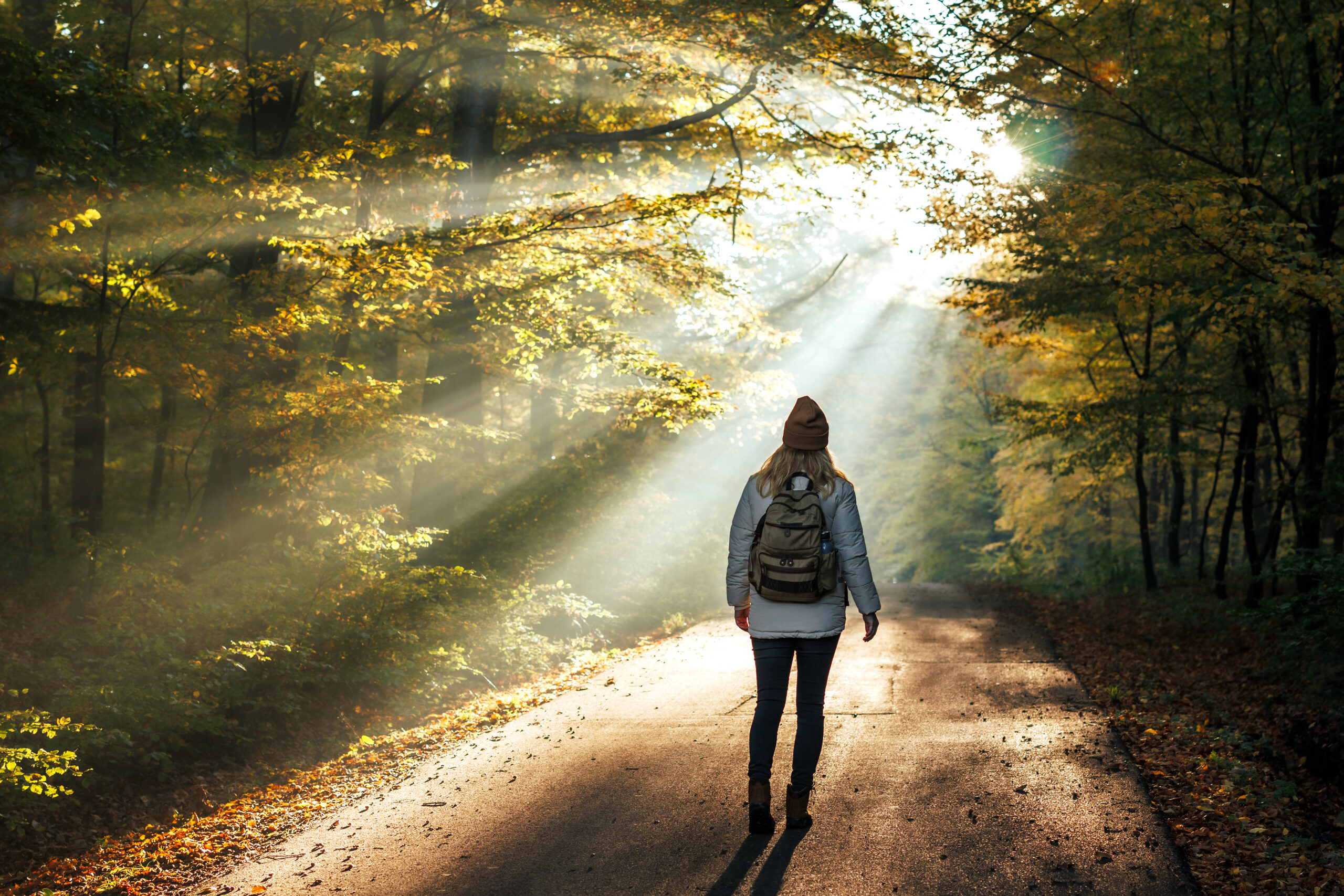 Embrace the Shift: 5 Steps to Process Life’s Changes