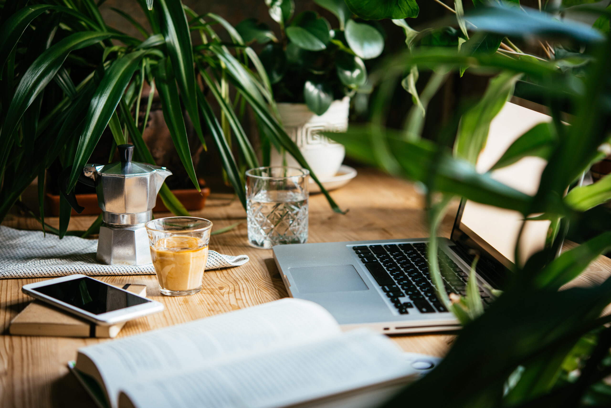 Sustainable Success: Why Slowing Down Boosts Productivity
